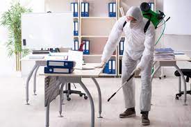 Whether you need inspection or removal services, our experts are just a phone call away. All Pro Pest Control Regina Sk