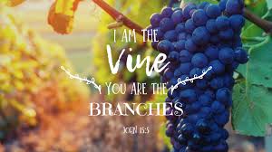 Derbyshire Baptist on X: "“I am the vine, you are the branches. He who  abides in Me, and I in him, bears much fruit; for without Me you can do  nothing." John