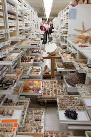Inside The Vast Archives Of The Smithsonian S Museum Of Natural History Smithsonian Museum Museum Storage Natural History