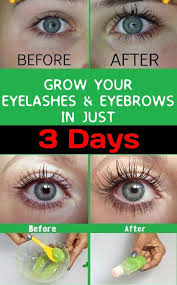 How To Grow Eyelashes And Eyebrows How To Get Thick Eyebrows And Eyelashes How To Grow Eyelashes How To Grow Eyebrows Thick Eyebrows