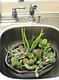 Check spelling or type a new query. Diy Succulent Arrangement Dish Garden Centerpiece Planter