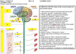 3d diagram of human liver 14 photos of the 3d diagram of human liver diagram human body liver, diagram human colon, diagram human digestive system, diagram human heart. Labeled Each Part Of The Nervous System Brainly Ph