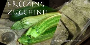 Grating zucchini, rather than chopping it, makes it nearly dissolve in baked goods or creates soft, delicate additions to salads and sautés. Freezing Zucchini With Tips On What To Do With All Of It Fresh Bites Daily