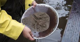 Gold panning, the earliest form of gold mining in breckenridge, was supplanted by underground mining techniques when the railroad arrived with heavy equipment in the 1880's. Free Gold Panning Silverton Colorado