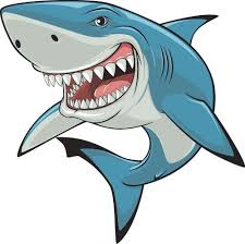 Image Result For Shark Cartoon Shark Drawing Shark Images Shark Pictures