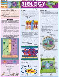 Biological Science Freeman 6th Edition Table Of Contents Biology G Spark Charts Study Biology Biology College Biology Lessons