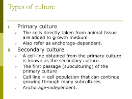 Whether you are working with cells isolated from human tissues or from other species, our cell culture media and supplements fit into every step of your experimental workflow. Ppt Ert 211 Biochemical Engineering Powerpoint Presentation Free Download Id 3632479