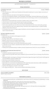 Ecommerce Manager Resume Sample Mintresume