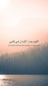 See more ideas about islamic quotes islam and quran quotes. Wallpaper Quote And Quran Image 6198967 On Favim Com