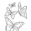 Butterfly fly away deep stuff. 1