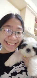 🏠ming na ❤️ ChihuahuaShihtzu 🐾