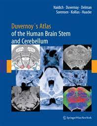 The spinothalamic tract, which crosses into the spinal cord. Duvernoy S Atlas Of The Human Brain Stem And Cerebellum Springerlink