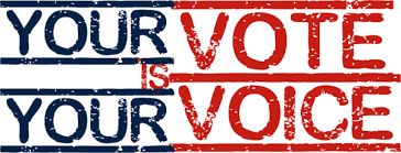 Image result for vote
