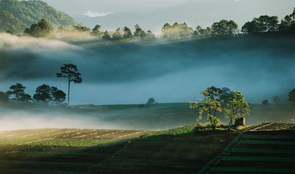 Free Landscape Stock Photos - Stockvault.net