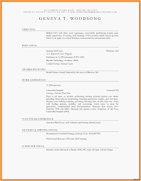 Cv Sample format Resume Cv 2017 - Recordplayerorchestra.com