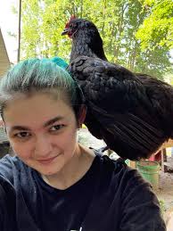 Can a crowing hen live with other chickens?