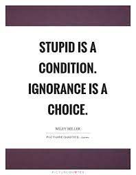 Stupid Is A Condition Ignorance Is A Choice Picture Quotes