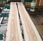 Milling live edge birch wood for even thickness