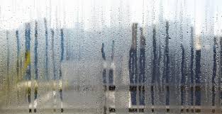 Check spelling or type a new query. 8 Solutions Pour Faire Face A L Humidite M6 Deco Fr