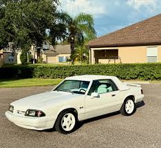 Image result for Oxford White 1993 Tracer