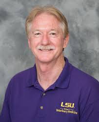 New Orleans, Baton Rouge area People in Business for April 4, 2021