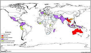 The disease is caused by the bacterium burkholderia pseudomallei. Melioidosis Epidemiology Pathophysiology And Management Clinical Microbiology Reviews