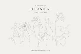 February 5, 2015 11 comments. Minimalist Botanical Line Sketches Pre Designed Illustrator Graphics Creative Market
