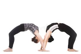 Maybe you would like to learn more about one of these? Zwei Weibliche Partner Des Jogis In Yoga Asana Dhanurasana Stockfoto Bild Von Kaukasisch Weiblich 50309396