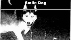 While it has been discovered that these images in victims' minds are the result of. Real Life Myths Smile Dog Youtube