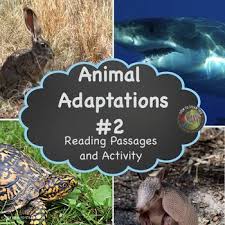What Ohers Are Saying About Our Top Selling First Animal Adaptations Resource Great Resou Informational Reading Passages Reading Passages Animal Adaptations