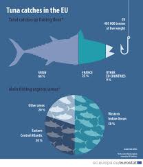 What is the size limit for tuna? Eu Catches Of Tuna Products Eurostat News Eurostat