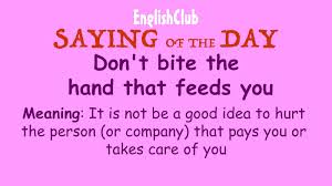 Don T Bite The Hand That Feeds You Meaning Pin By Ishtiyaque On Proverbs With Images Saying Of The Day Learn English Improve Your English