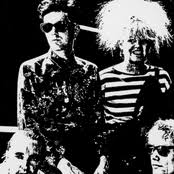 Cactus world news performs in the music video years later from the album urban beaches recorded for mca records. Cactus World News S Lyrics Chords