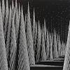 Lost in the forest — brain study music guys. Https Encrypted Tbn0 Gstatic Com Images Q Tbn And9gctdn2h0xxzpz8n6vu6znv Nhnqm9iifer0fjo7pciclfnlbsytd Usqp Cau
