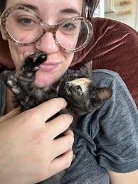 How are the kitties doing?