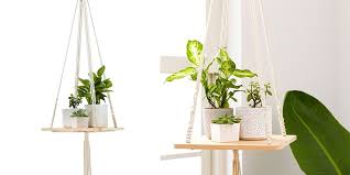 De quoi gagner de la place tout en mettant. Plantes Pour Suspensions Quelles Plantes Choisir Marie Claire