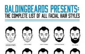 68 Facial Hair Styles For Men Infographic Samples