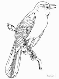 It can be a positive thing to expand the coloring hobby too. Mockingbird Animals Coloring Pages Coloring Page Book For Kids