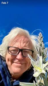 What are these desert flowers?