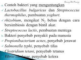Peranan Mikroorganisme Dalam Kehidupan Manusia Ppt Download
