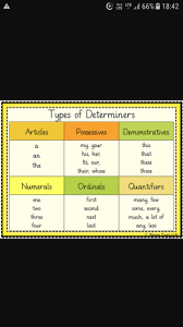 Make A Chart Of Determiners With Examples Brainly In