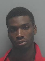 Lee County Arrests 8/3