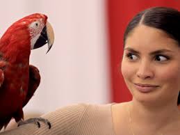 Hampton Roads Convention Center World of Pets Expo 2019