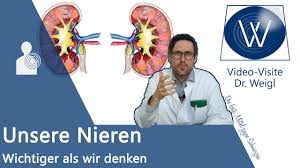 Was Ist Unsere Harnsaure Purinstoffwechsel Aufgaben Ursachen Fur Einen Erhohten Harnsaurespiegel Youtube