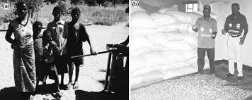 Image result for Schinziophyton rautanenii