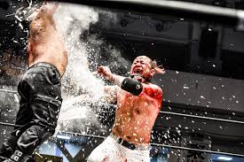 Jun Kasai Crazy Monkey - CAMERA JAPAN Festival