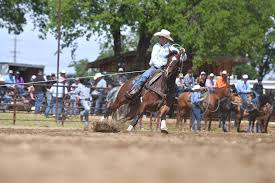California Roping