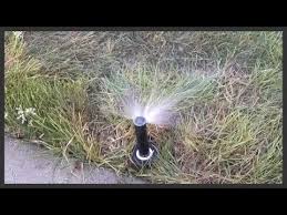 How To Install A Rain Bird 1804 Sprinkler Head