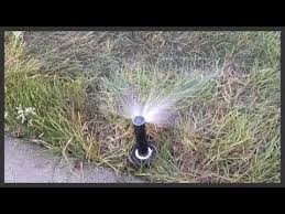 how to install a rain bird 1804 sprinkler head