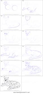 Maragay Is A Small Cat Animal And Is Native To South And Central America In This Tutorial We Will Draw Maragay Drawing Sheet Drawings Sketch Videos